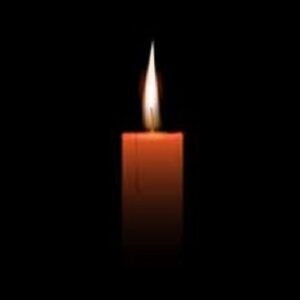Kate Sutton Johnson Sarasota MN Death Obituary - Artist And Scenic Designer Has Died